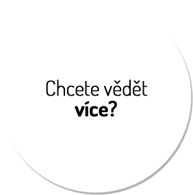 vice